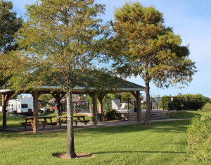 rv park workamping pool kemah seabrook webster bacliff san leon