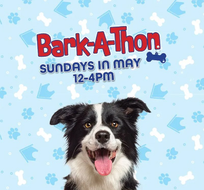 Barkathon