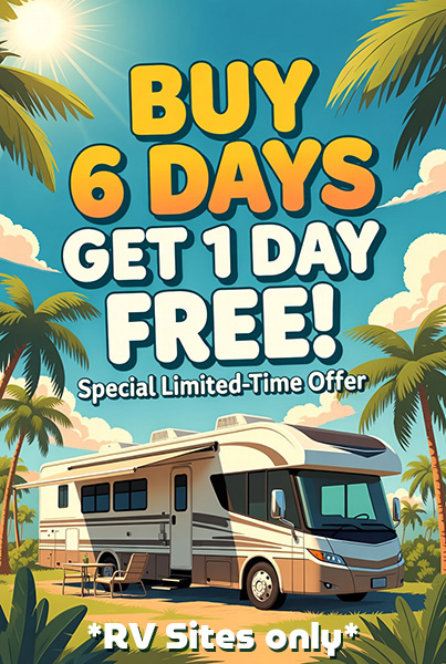Book 6 days and get your 7th day FREE!